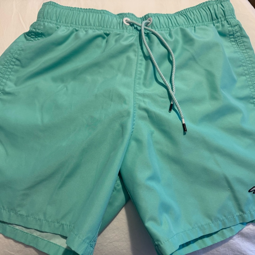 Hollister Blue Swim Trunks Quick-Dry Elastic Waist